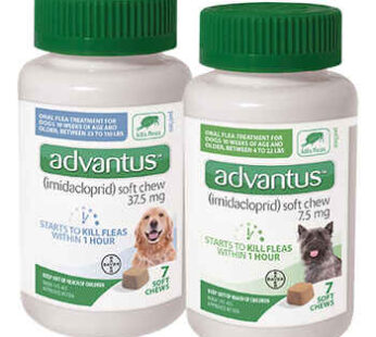 Advantus Oral Flea Treatment Soft Chews for Dogs