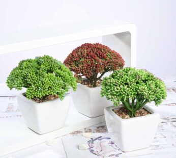 Efavormart Set of 3 | 6” Assorted Autumn Joy Sedum Artificial Faux Succulent